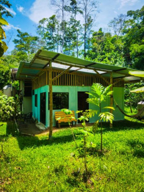 Jungle house